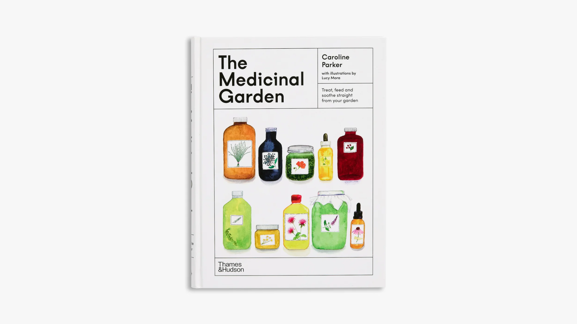 The Medicinal Garden
