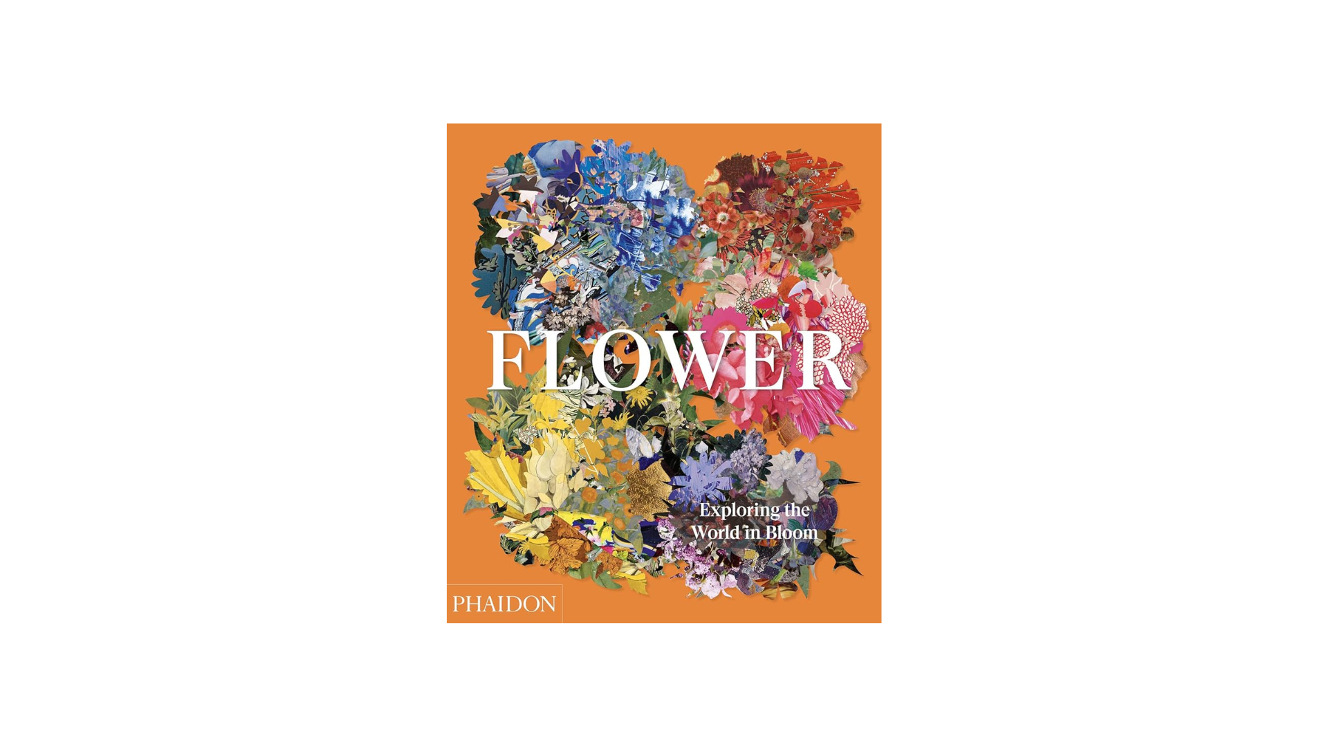 Flower: Exploring the World in Bloom