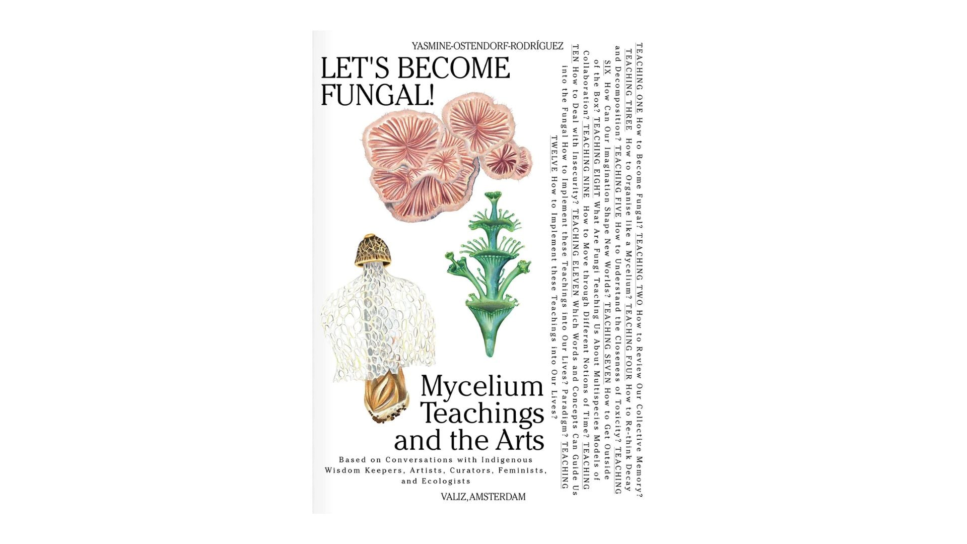 Let’s Become Fungal! Mycelial Learning and the Arts