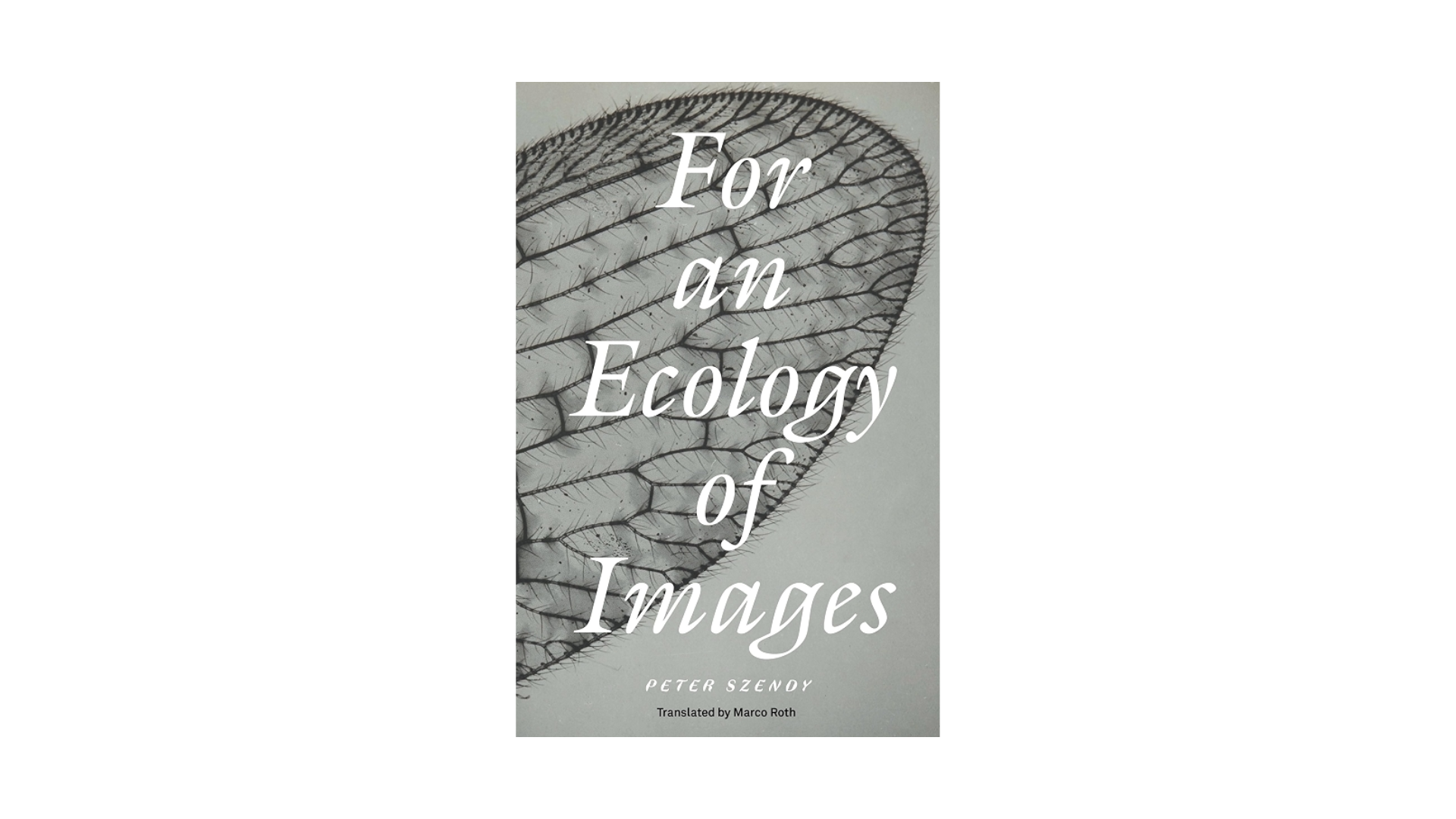 For an Ecology of Images