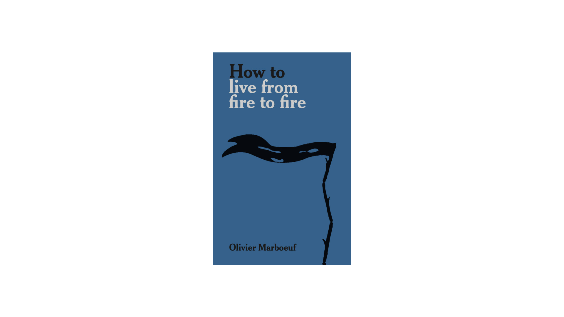 Olivier Marboeuf. How to Live from Fire to Fire