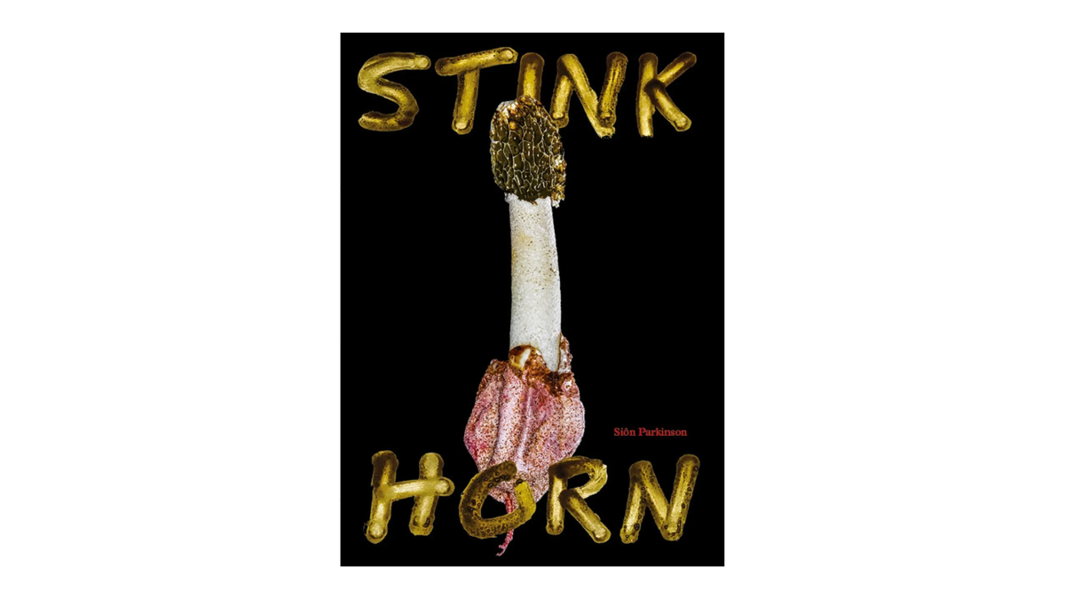Stinkhorn: How Nature's Most Foul-Smelling Mushroom Can Change the Way We Listen