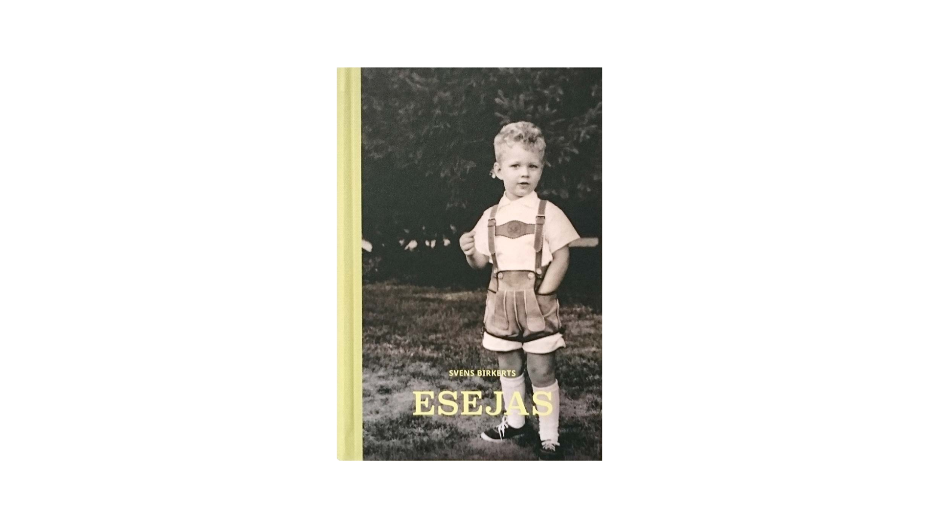 Svens Birkerts. Esejas