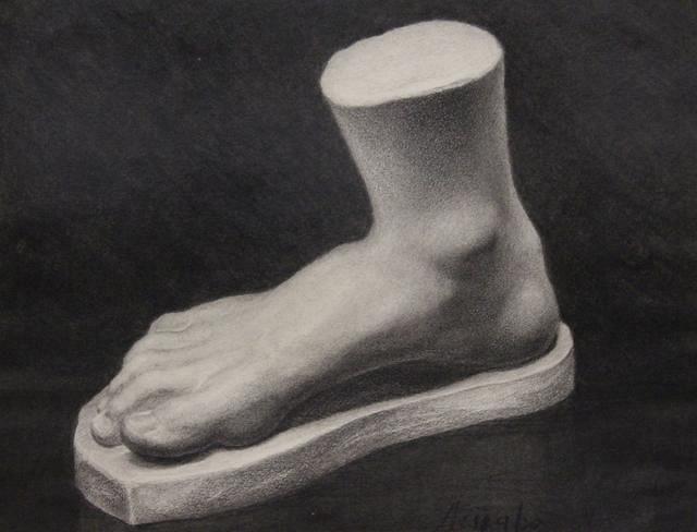 Study of a foot