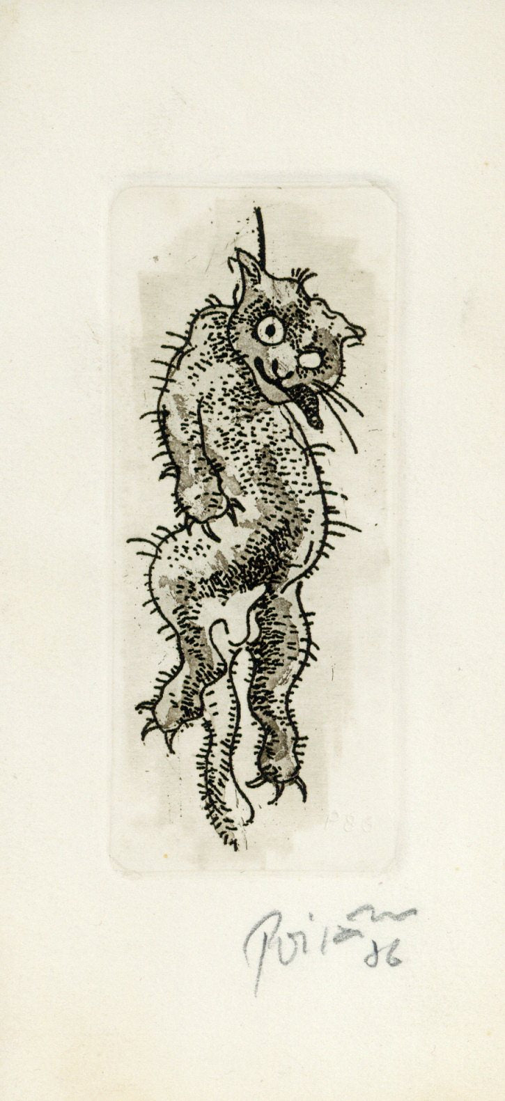 Ivars Poikāns. Cat