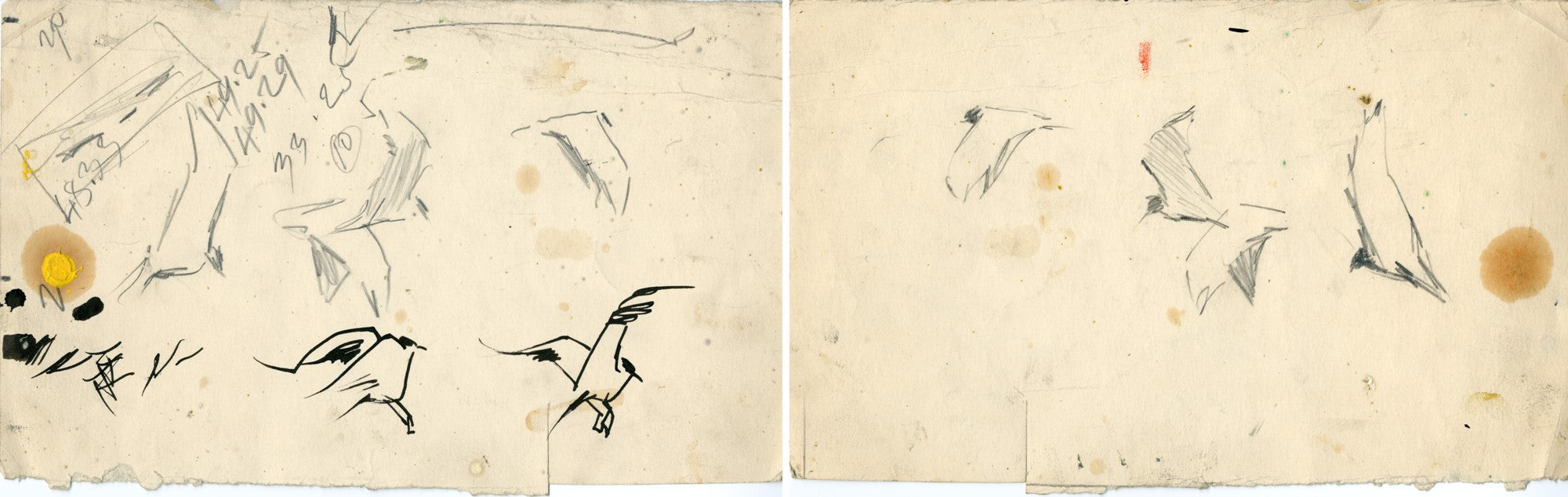Jānis Osis. Sketch