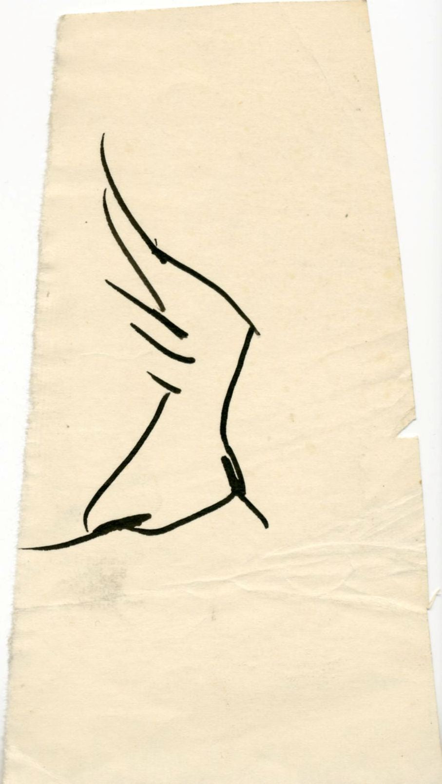 Jānis Osis. Sketch