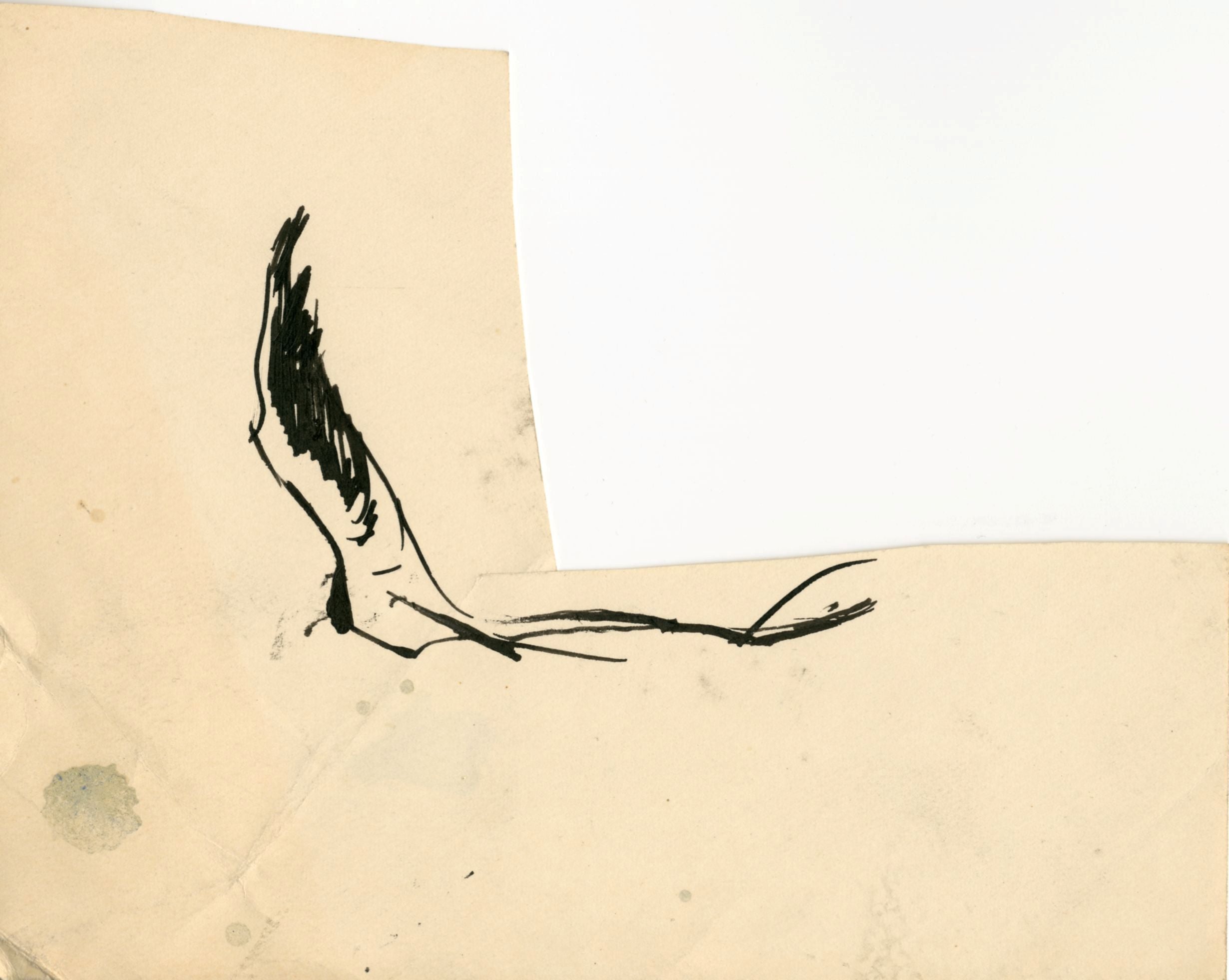 Jānis Osis. Sketch